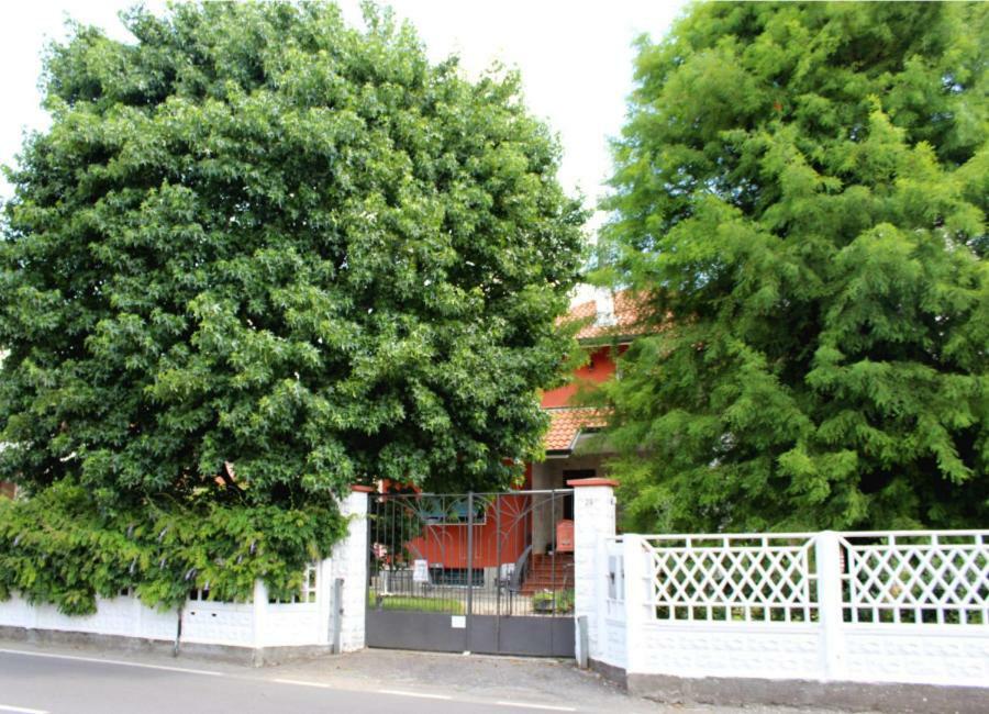 B&B Via Roma 체사테 외부 사진